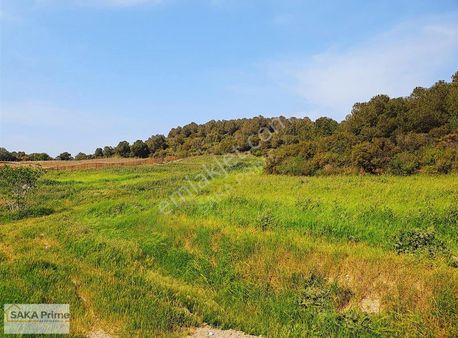 Saka Prime Gyo'dan Aliağa Bozköy'de Yatırımlık Tarla