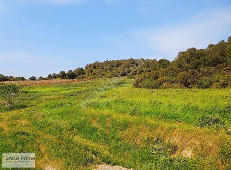 Saka Prime Gyo'dan Aliağa Bozköy'de Yatırımlık Tarla