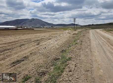 Hakan Yanık Emlaktan Boğazda Satılık Tarla