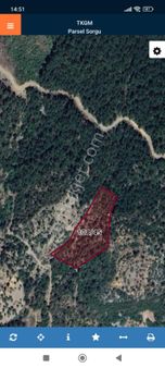 Antalya Gazipaşa Üçkonak Mahallesinde Satılık Tarla