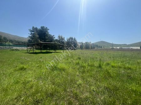 Hisar Önü Dibek Tepe Mevki Arazi