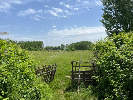 Akçay Ülkü Yoluna Yakın 13.5 Dönüm Düz Zemin Resmi Yolu Olan Tarla