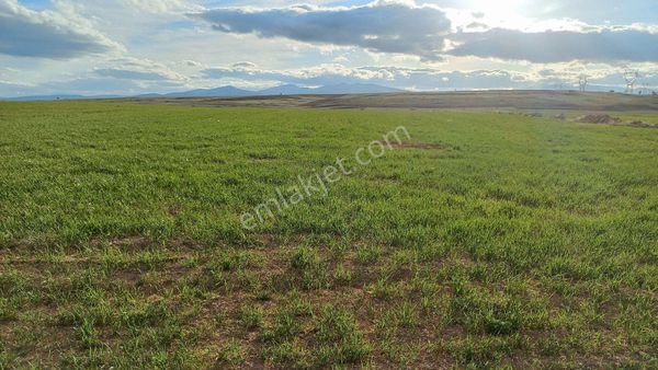 Akören Orhaniyede Satılık Müstakil Tarla