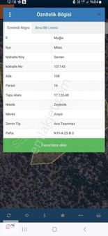 Muğla Milas Savran Satılık Zeytinlik 17.000 M² Gökhan Alkaya'dan