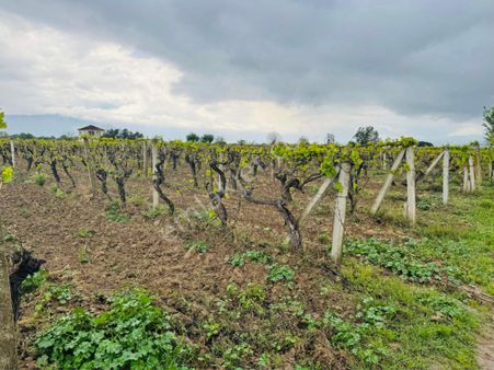 Manisa Üçpınar Da Bağ Hedef Gayrimenkul Den
