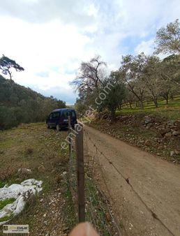 Büyükdere'de Yola Cepheli Hobi Bahçesi