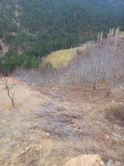 Alaşehir Umut Emlaktan Satılık Tarla