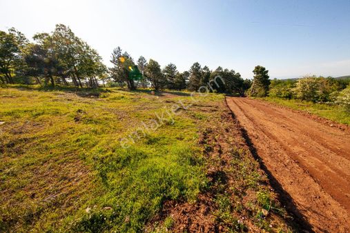 Bursa Mudanya Emirler Yenicesinde Satılık 494 M2 Tarla