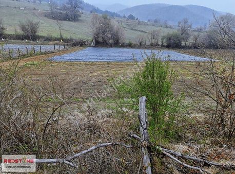 Çilekli'de Resmi Yollu 3 Parsel 4.415 M² Yerimiz Satılıktır