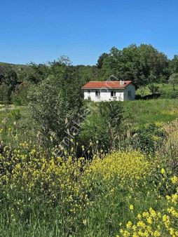 Denizli Babadag Gazı Mah 2.5 Dönüm Meyve Bahçemiz Satiliktir