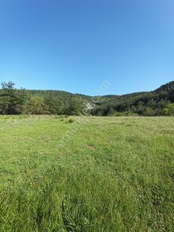 Sakarya-geyve-safibeyde Çiftlik Olarakda Kullanılabilecek Tarala