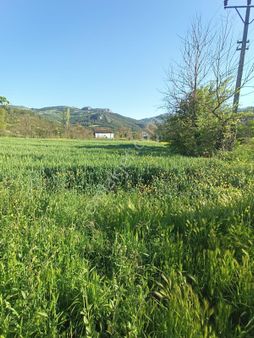 Sakarya-geyve-safibey De Asfalt Yol Kenarı İmara Yakın Tarla