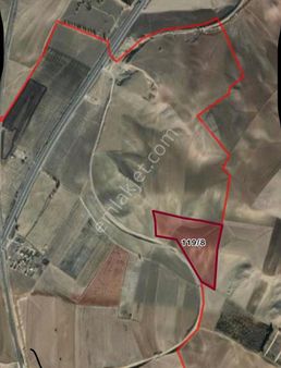 Net Gayrımenkul'den 67 Dönüm Yola Yakın Tarla