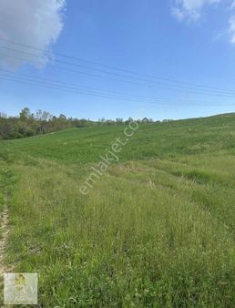 Derince Kaşıkcı Köyünde Satılık 1180 M2 Tarla