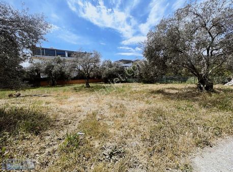 Gsk Elit Emlak'tan Gürede Güzel Konumda Köşe Satılık Arsa