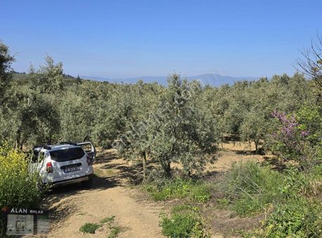 Talatbeyde Yola Cephe Süper Yer