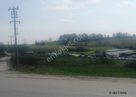 Kandıra Süllüde %5+30 İmarlı 6418m2 Mükemmel Konumda Arazi