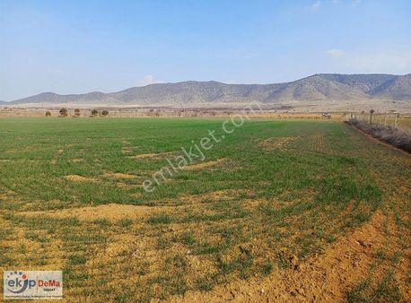 Sahibinden Araç Takaslı Baklan Dağal Mah 13700m2 Satılık Arazi