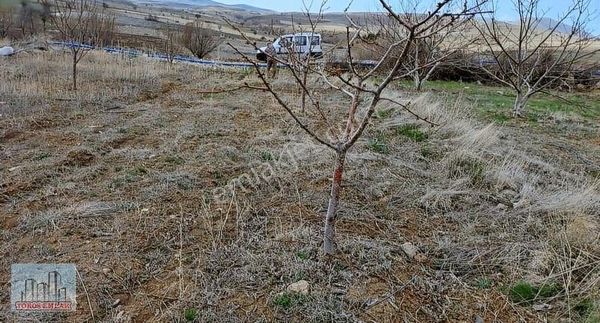 Toros Emlak'tan Çamardı Celaller Köyü Satılık 1230 M2 Bahçe