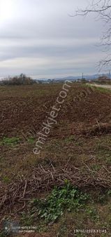 Civan'dan İmar Sınırında Merkeze 3 Km 8.5 Dönüm Satılık Tarla