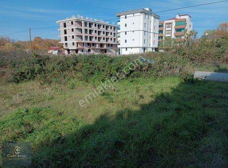 Geleceğin Yildizi İncesu Da