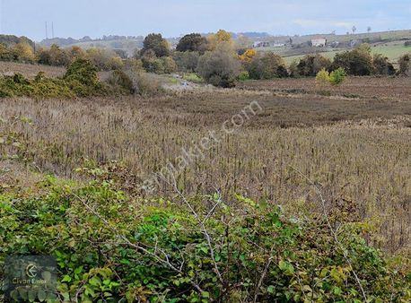 Civan'dan Bafra Lengerli'de Satılık Tarla