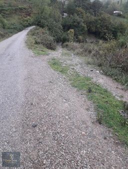 Civan Emlaktan Gerze Yenikentte Acil Satılık Arsa