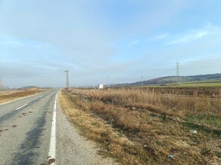 Cadde Cephe Muhteşem Tarla