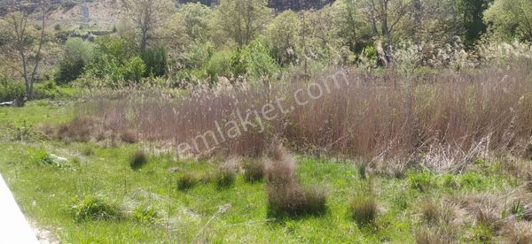 Asya Emlaktan Ağlasun Kum Mah De Satılık Fırsat Tarla