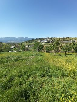 Sakarya-geyve-safibey De Doğa Manzaralı Yatırımlık Arazi