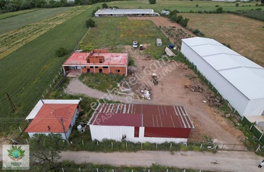 Pasifikten Menderes Cumaovasında Mükemmel Konumda 9.084m² Tarla