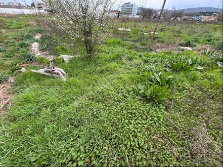 İzmir/kınık/osmaniyede 312 M2 Tek Tapu Mahmut Demir Den