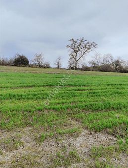 Deha'dan Mkpaşa Paşalarda Satılık Fırsat Tarla Takaslara Açık