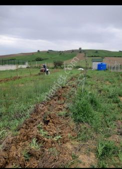 Çiğnitaş Umut Satılık Uygun Fiyatlı Hobi Bahçesi Hisse Tapulu