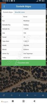 Anıl Emlak Tan Mudanya Trilye Halilbey 1665m2 Müstakil Zeytinlik