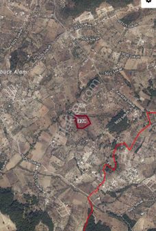 Satılık Kırıklar Köyü 857m2 Tek Tapu Tarla Zeytinlik Etrafı Çev