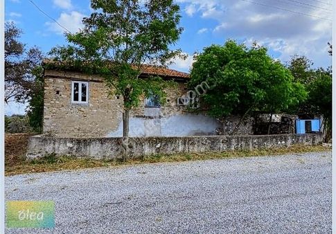 Taş Köy Evi Ve Arsası