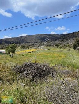 Milas Kalınağıl Köyünde Satılık Tarla!!!