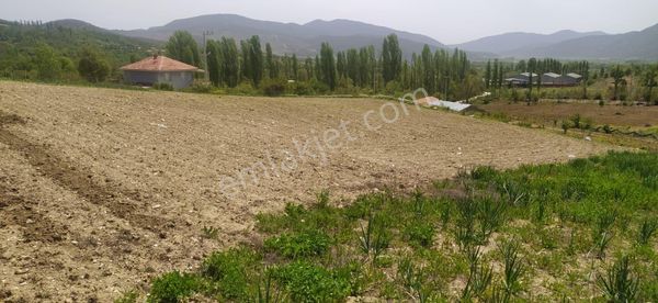 Asya Evim Emlaktan Ağlasun Kum Mah De Muhteşem Satılık Fırsat Tarla
