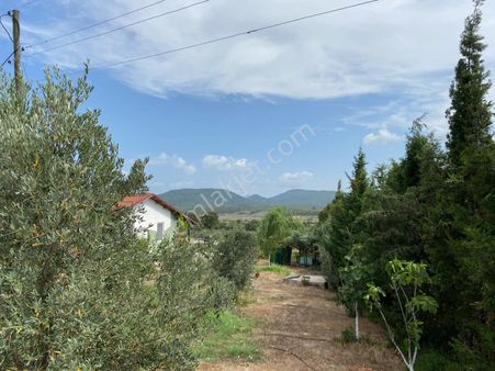 Asya Evim Emlaktan Bucak Elsazı Köyün De Satılık (villa Ve Zeytinlik)