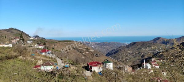 Trabzon Esenyurt Satılık Villalık 1.000 M2 Arazi