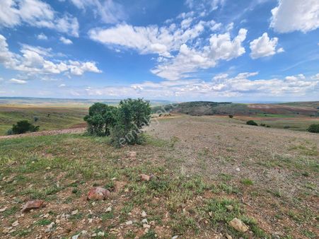 Kırıkkale Ballışeyh Kulaksız 12.130 M2 Ekilir Tarla 410 Bin Tl