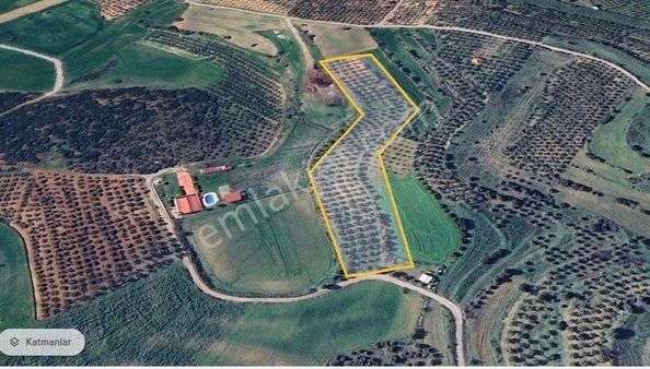Bulgurcada Sanayi İmar Sınırında Satılık Zeytinlik
