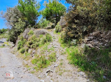 Mumculara 20 Dakika Uzaklıkta Hasanlarda Satılık Zeytinlik