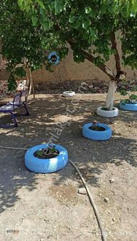 Bergama Merkeze 13 Km Uzaklıkta 662 M2 Bakımlı Satılık Köyevi