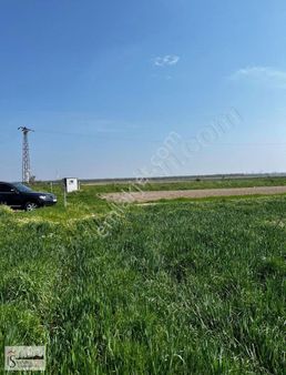 Kapaklı Karlıda Satılık 669m2 Yola Cephe Tarla