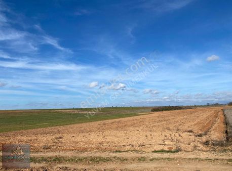 Kırklareli Babaeski Karahalil Birlik Beldesinde 1167 M2 Arsa