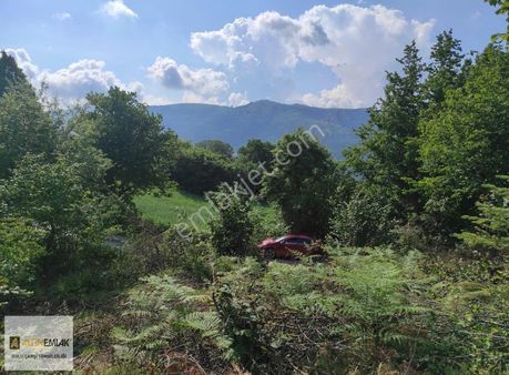 Altın Emlak Bolu Çarşı Temsilciliği Yolu Mevcut Satılık Tarla