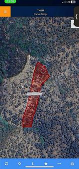 Muğla Milas 3.262 M2 Fırsat Zeytinlik !!!!!!!!!!!!!!!!!!!!