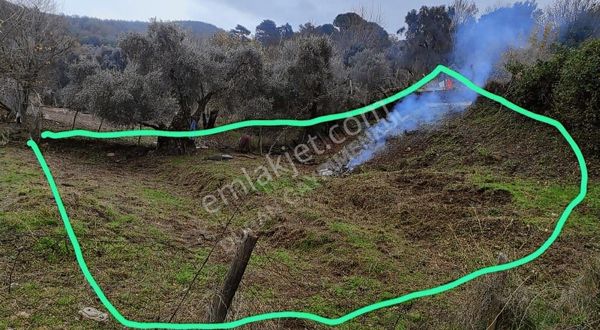 Muğla Milas Kayabaşı Fırsat Bahçe!!!!!!!!!!!!